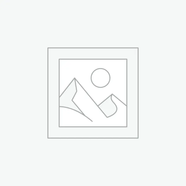 Gaming Console